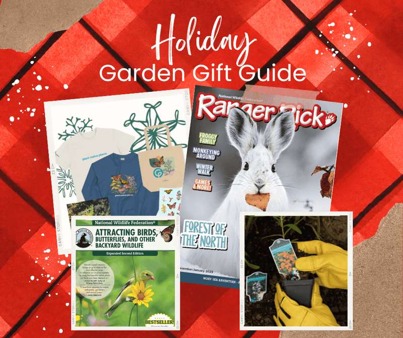 Holiday Garden Gift Guide - Garden for Wildlife