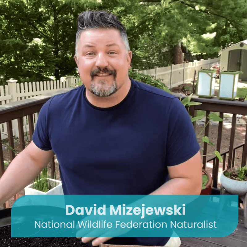 How to Plant Your Native Plants - Garden for Wildlife