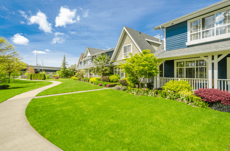 Why Garden for Wildlife Supports the Anti-Lawn Movement - Garden for Wildlife