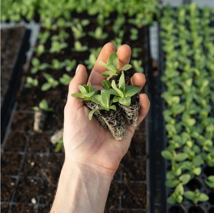 You Built It and They Came: The Science Supporting Your Wildlife Habitat Garden (Recorded Webinar) - Garden for Wildlife